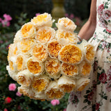 David Austin® Beatrice™ Bouquet