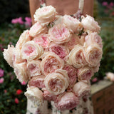 David Austin® Keira™ Bouquet