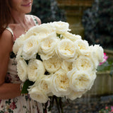 David Austin® Patience™ Bouquet