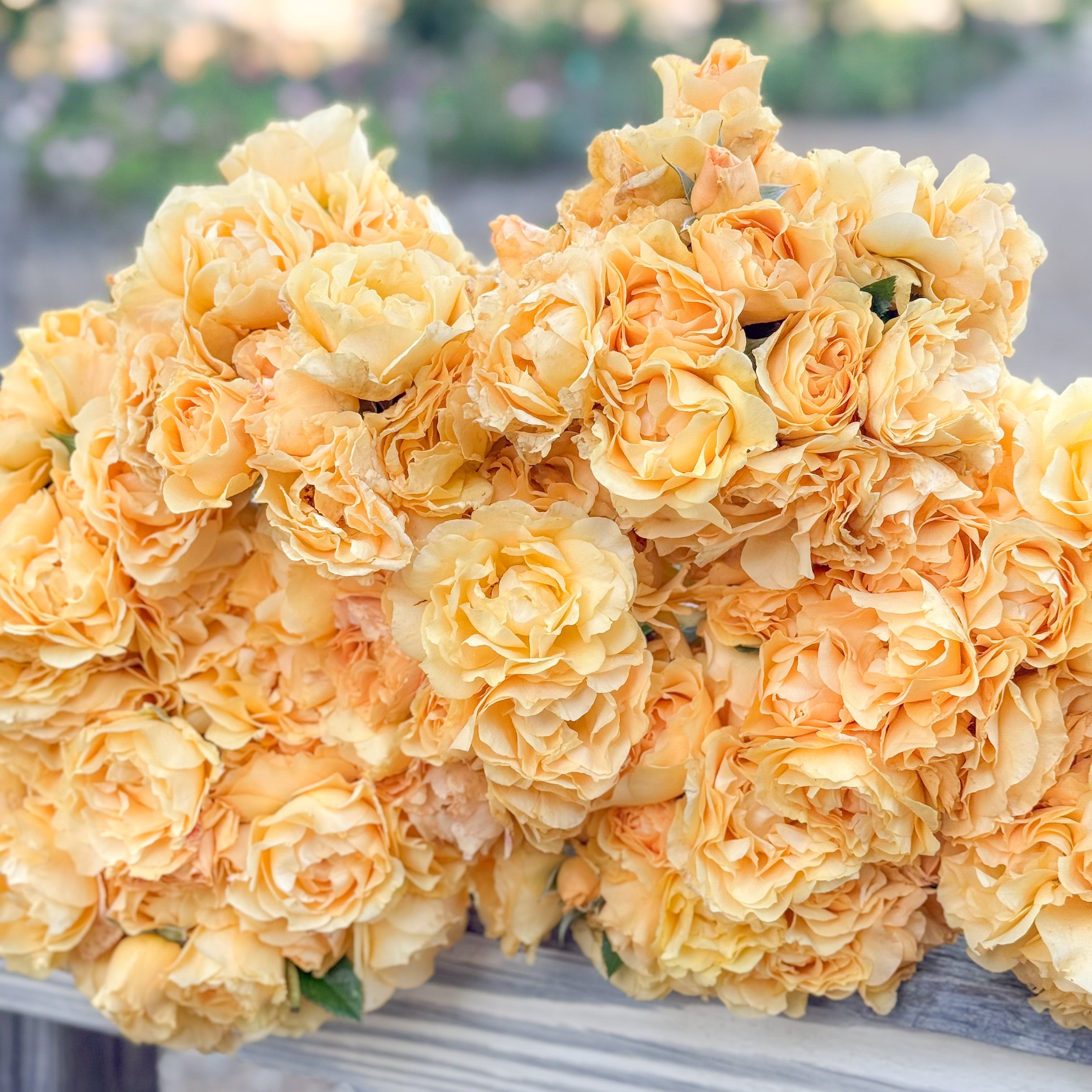 Bouquet of yellow flowers on a metal surface with a blurred outdoor background