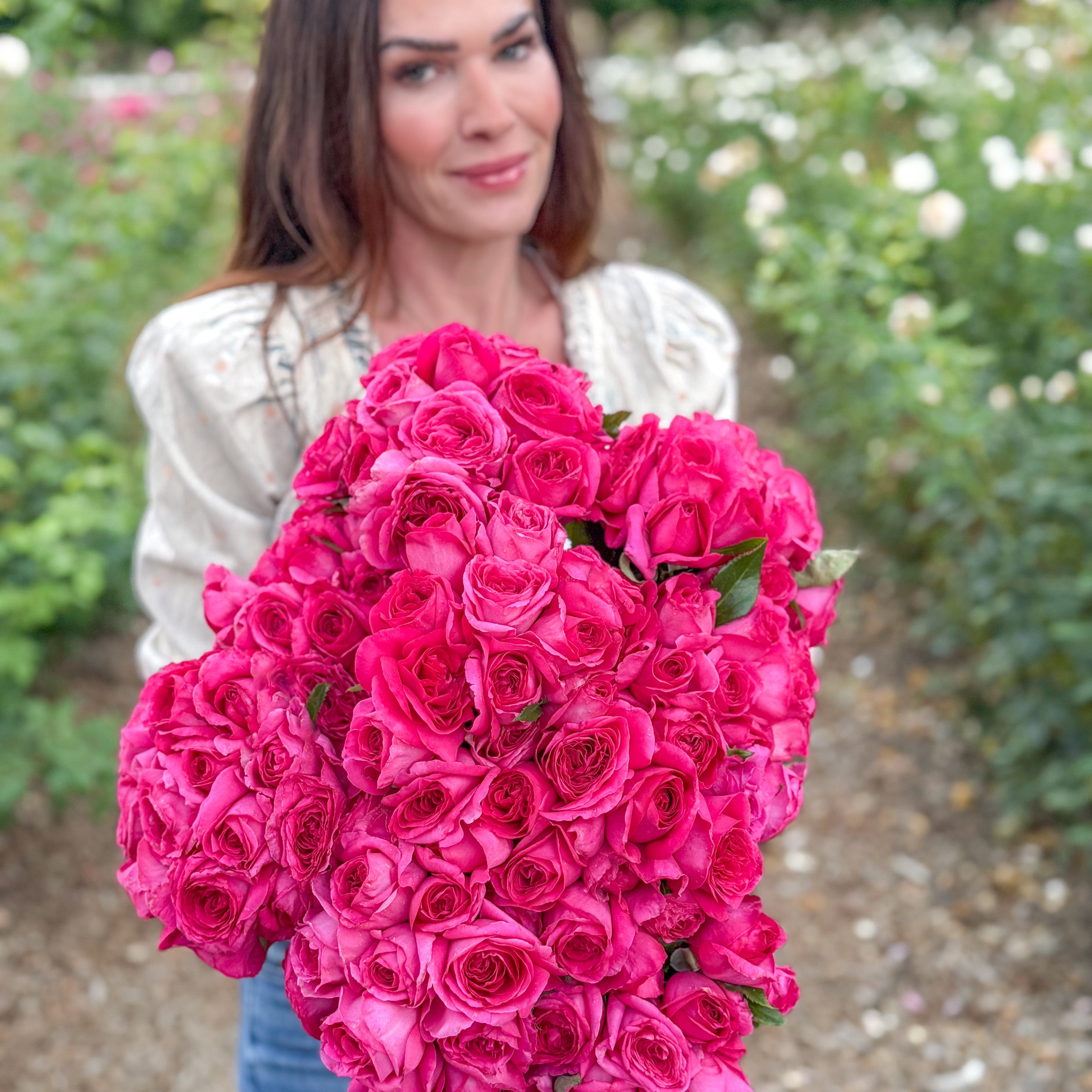 Nothing But Class™ Potted Rose Bush