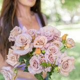 Stephen Rulo Potted Rose Bush