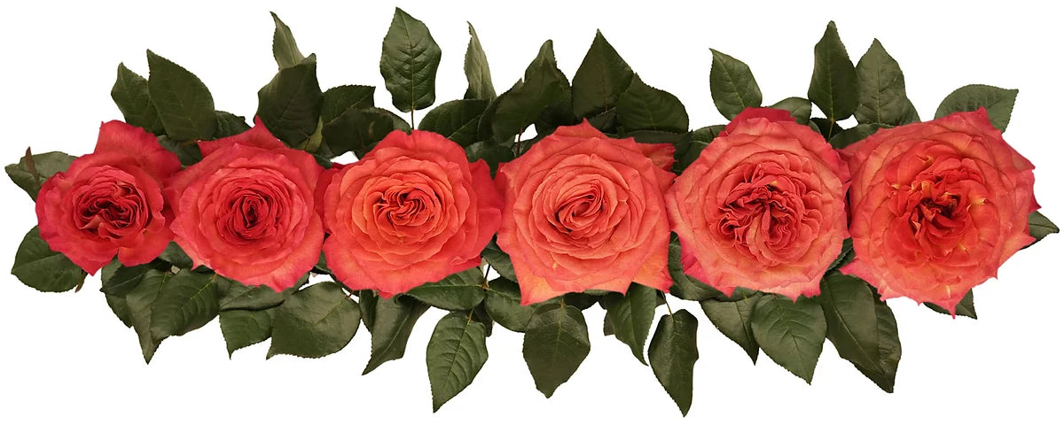 Sunset Celebration® Bouquet