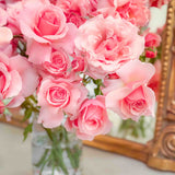 Tournament Of Roses Bare Root Rose Bush