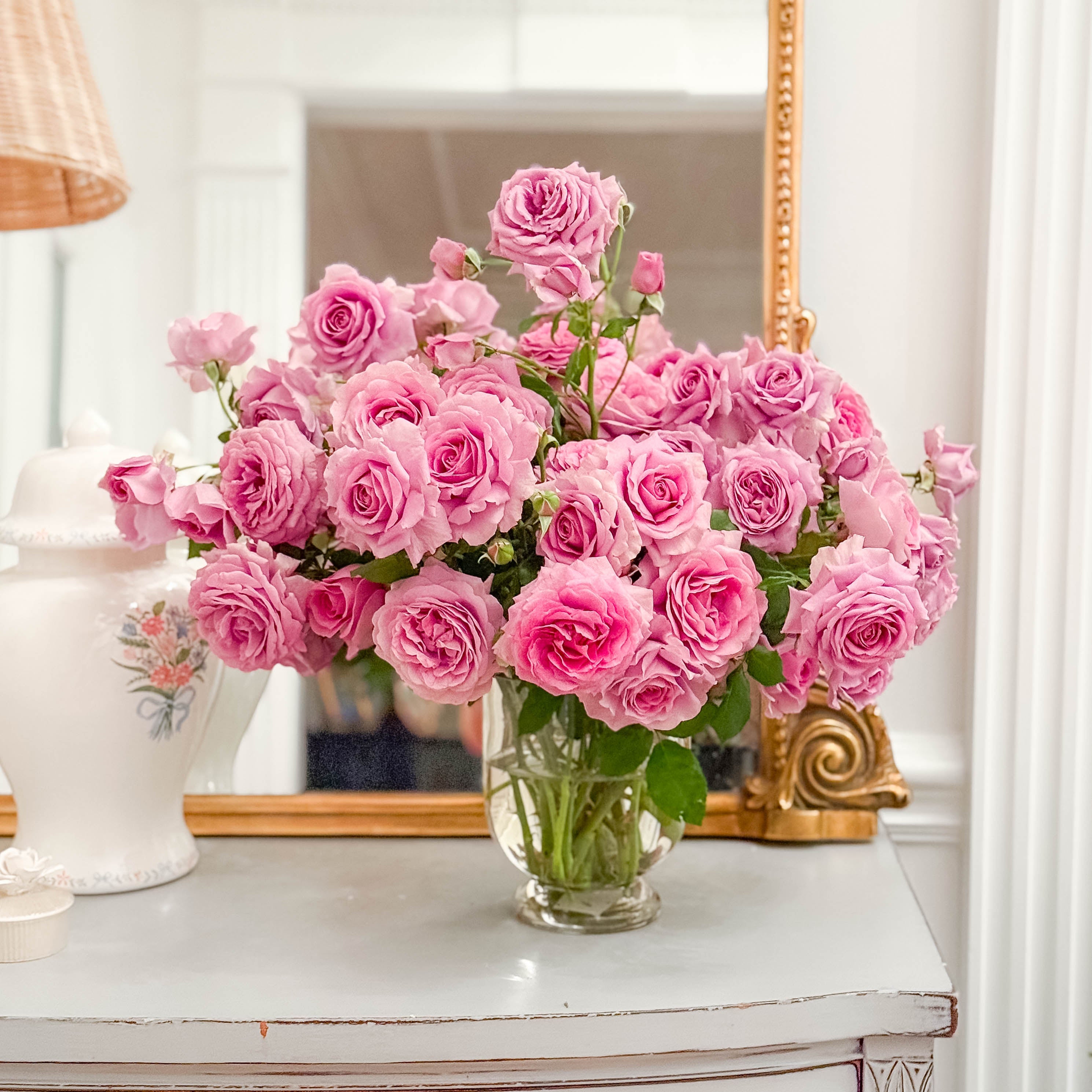 Violet's Pride™ Potted Rose Bush