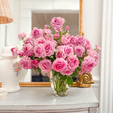 Violet's Pride™ Potted Rose Bush