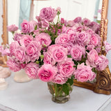 Violet's Pride™ Potted Rose Bush