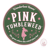 Wanderlust Roses™ Pink Tumbleweed™ Potted Rose Bush BUSHES