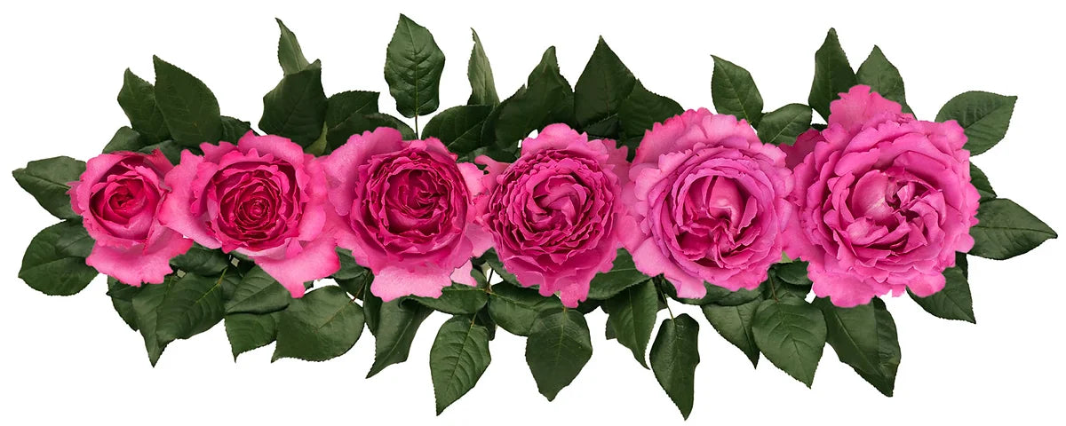 Yves Piaget® Bouquet