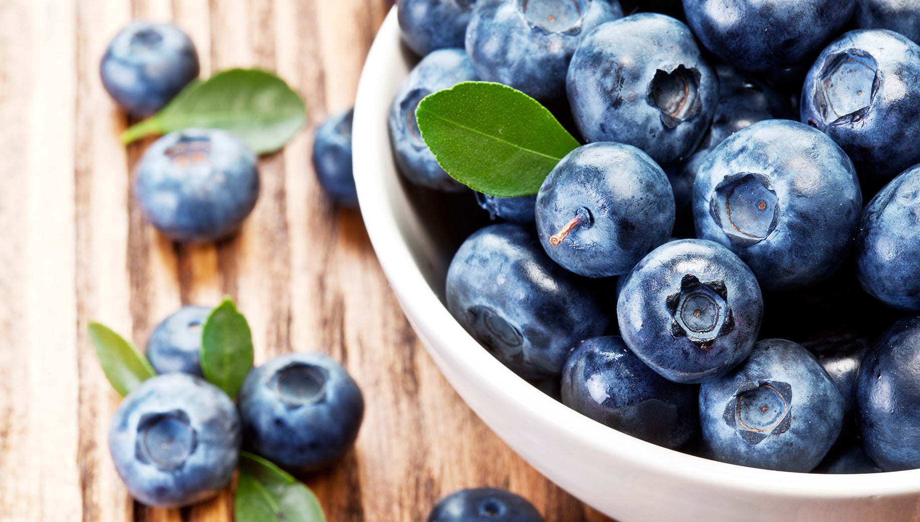 Growing Blueberries at Home: A Harvest That Feeds the Soul