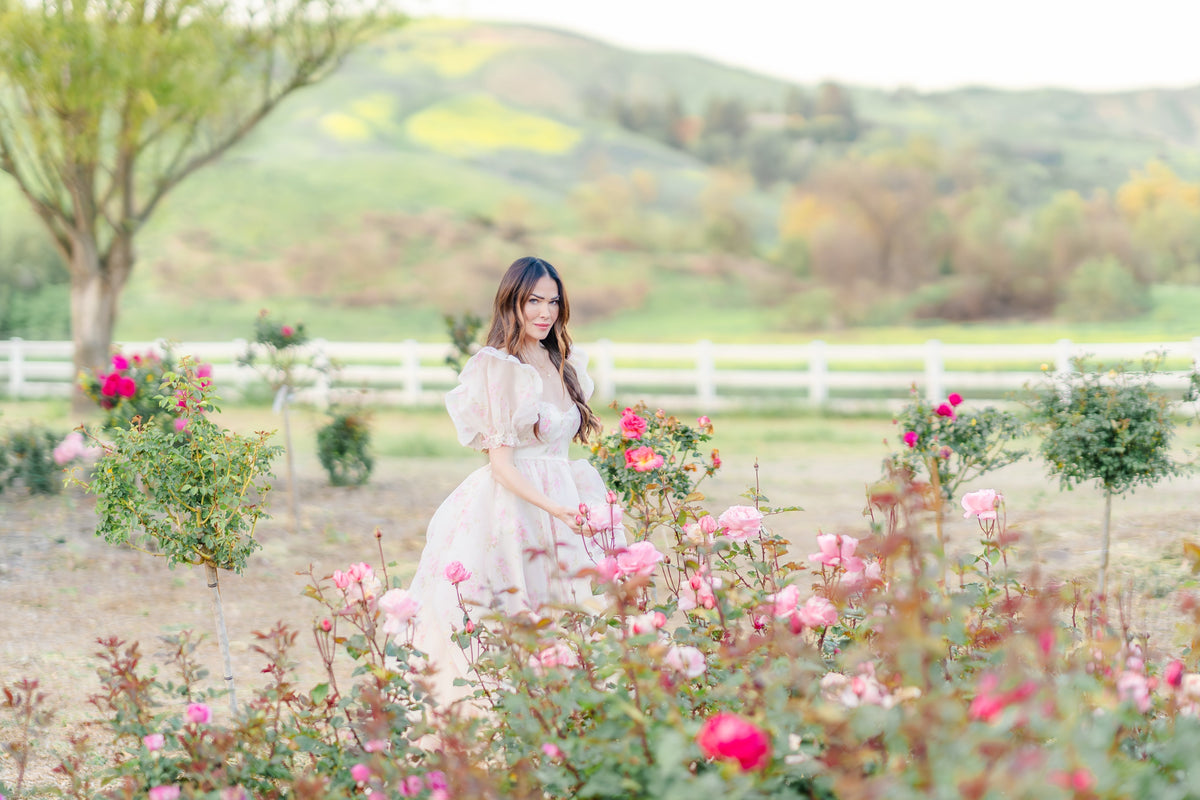 Tree Roses: The Ultimate Statement in Garden Design