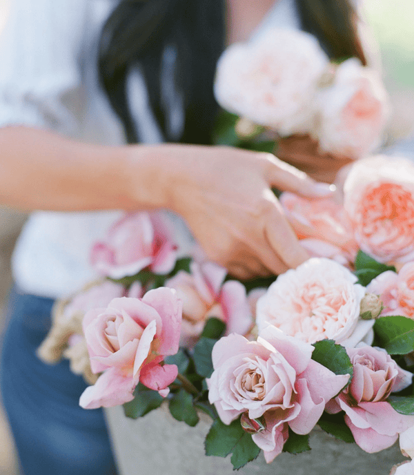 Chatting all things flowers with The Flower Podcast - Grace Rose Farm