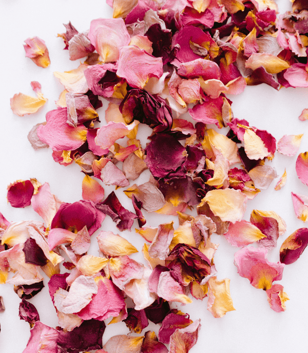 Drying Your Rose Petals - Grace Rose Farm