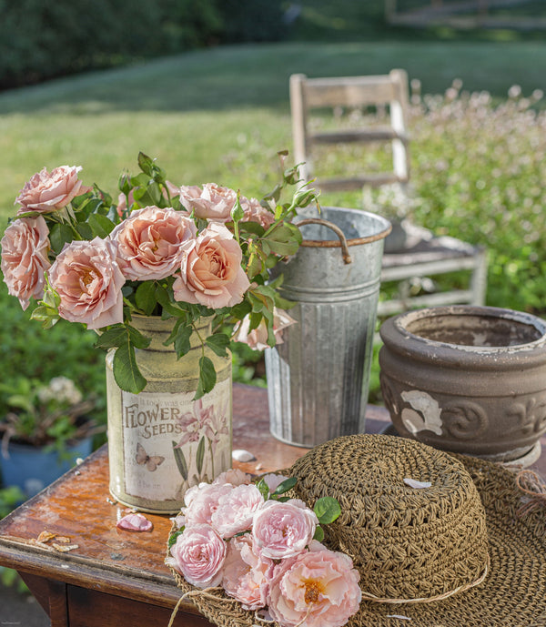 Getting To Know Our Customers - Grace Rose Farm