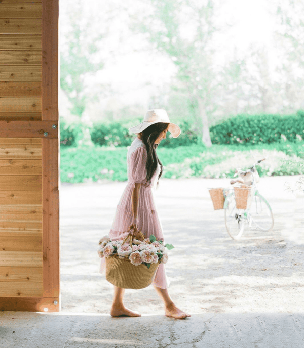 Old fashioned roses, grown the old fashioned way: Our reality of flower farming and building sustainability - Grace Rose Farm