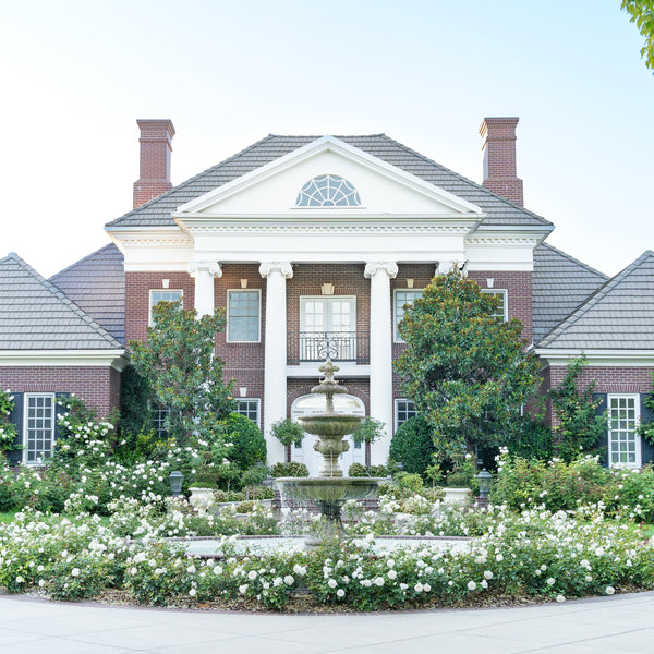 Our Special Announcement - Grace Rose Farm