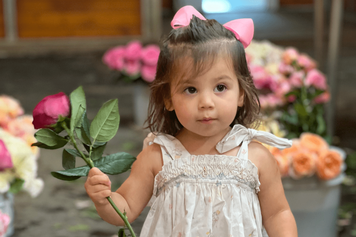 Sweetest Day - Grace Rose Farm