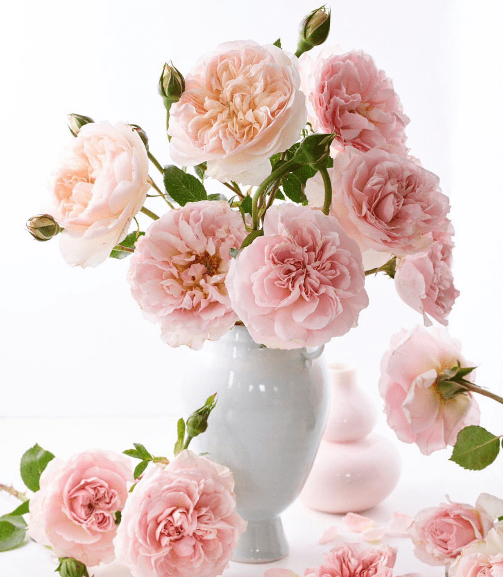 The Best Vases & Shears  - Our Favorite Vases and Shears - Grace Rose Farm