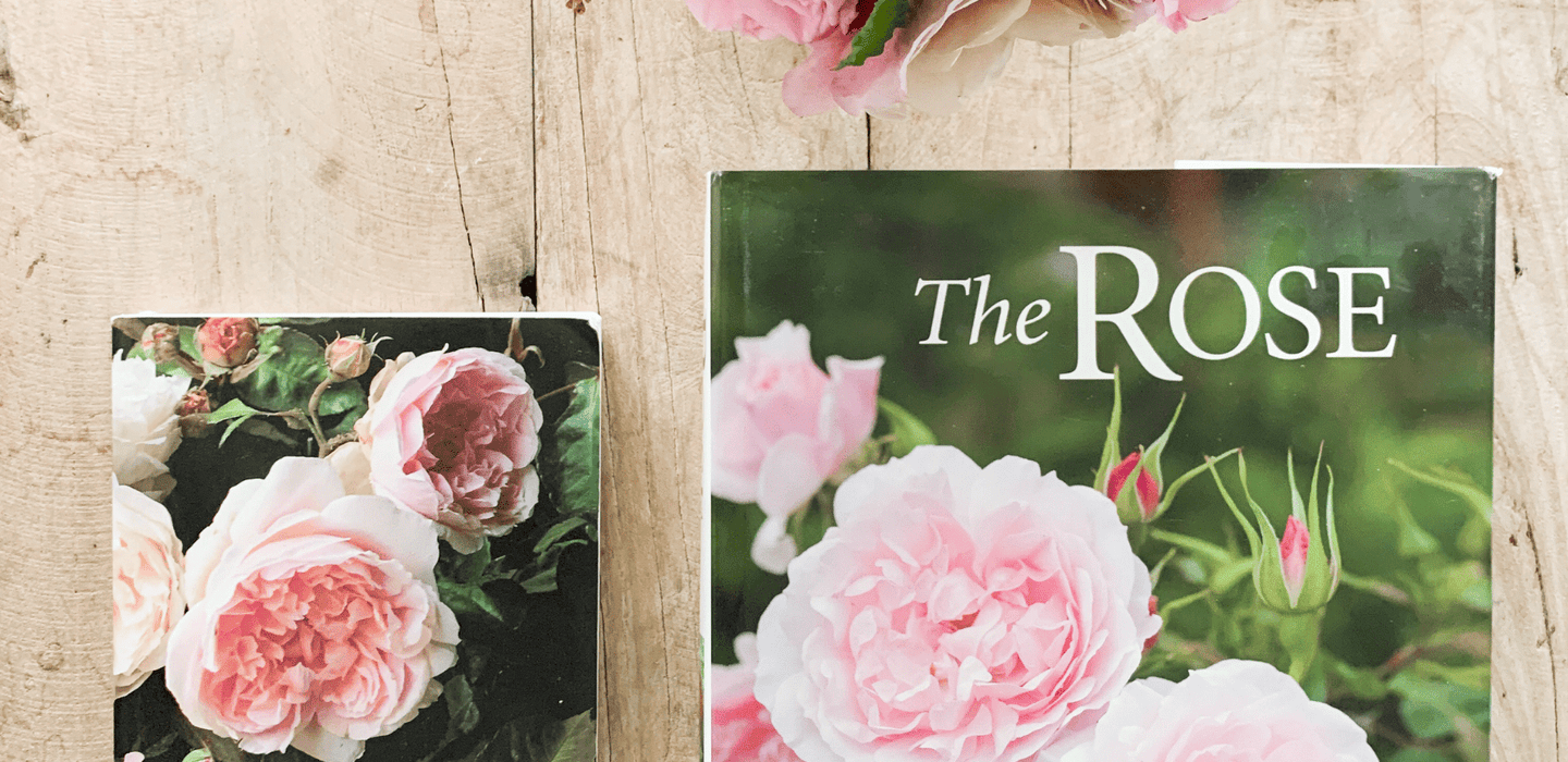 Top 10 Favorite Rose Books – Grace Rose Farm
