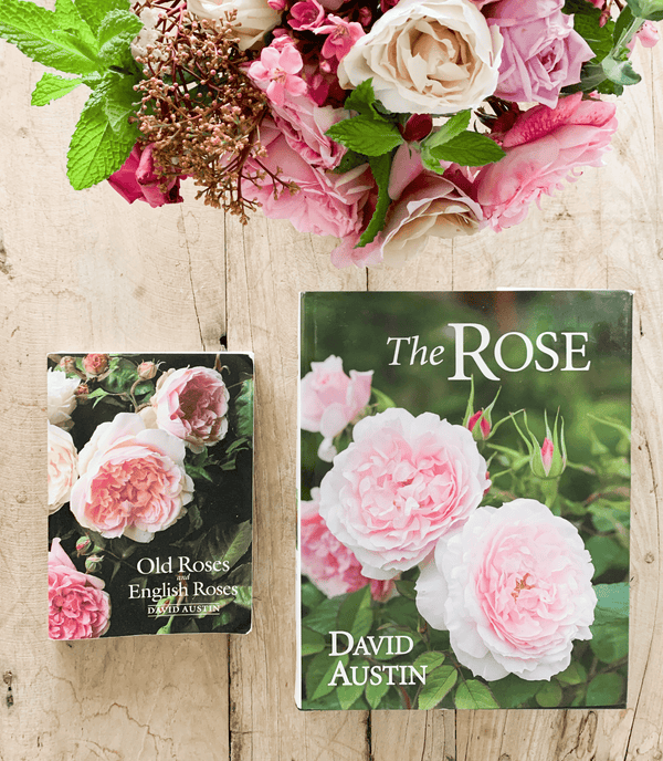 Top 10 Favorite Rose Books - Grace Rose Farm