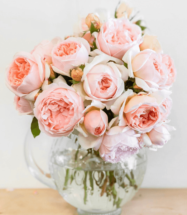 Unique Flower Vases for Your Roses - Grace Rose Farm