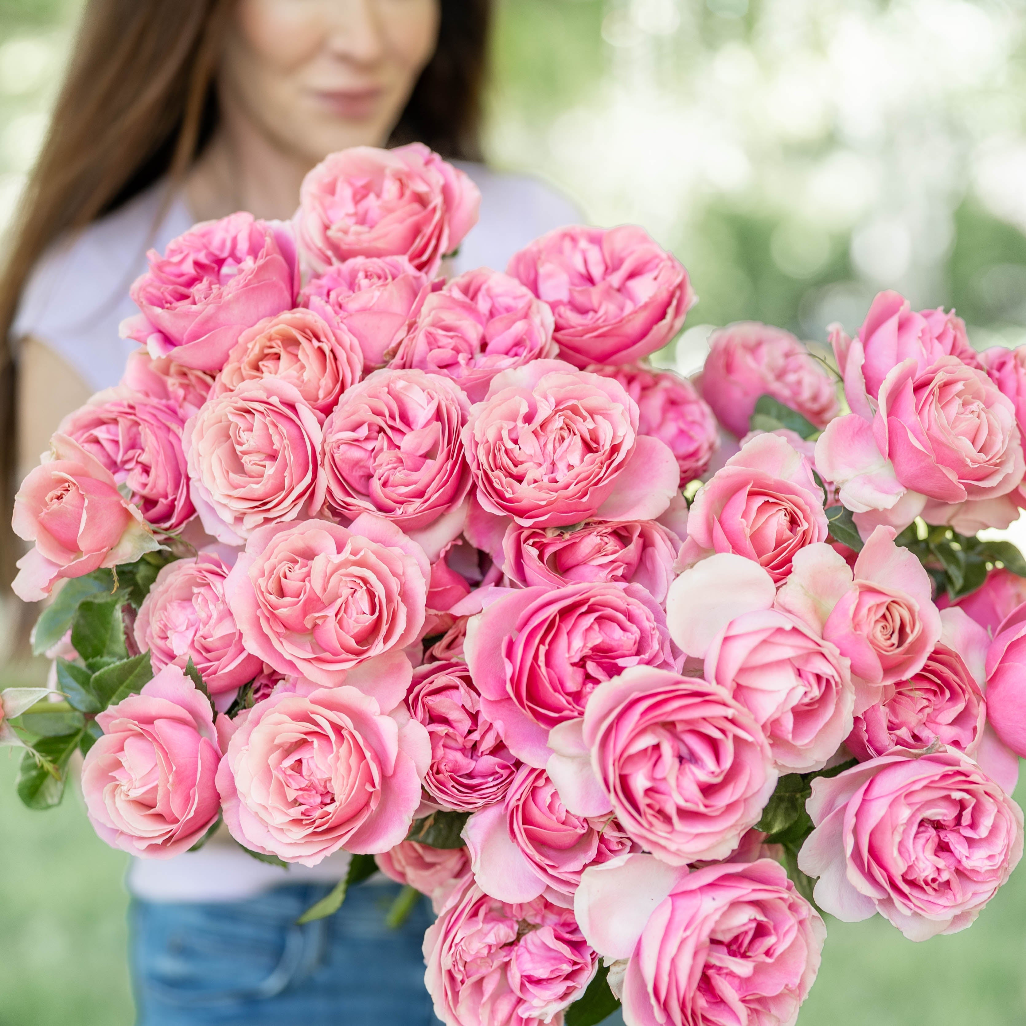 Our Favourite Roses | Gracies Most Loved Bouquets | Grace Rose Farm