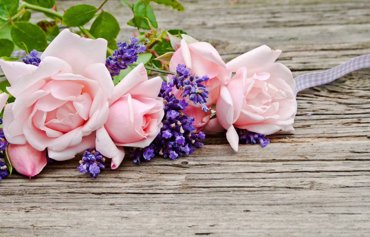 Perfect Pairings for Roses: Lavender - Grace Rose Farm