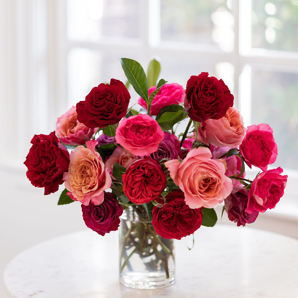 Red Roses | From Deep Crimson To Rich Burgundy | Grace Rose Farm