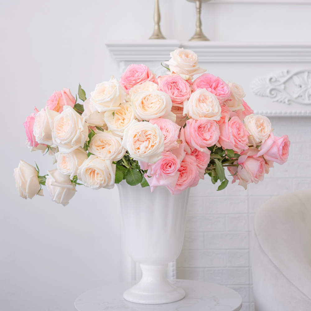 Jenny's O'Hara Rose Bundle