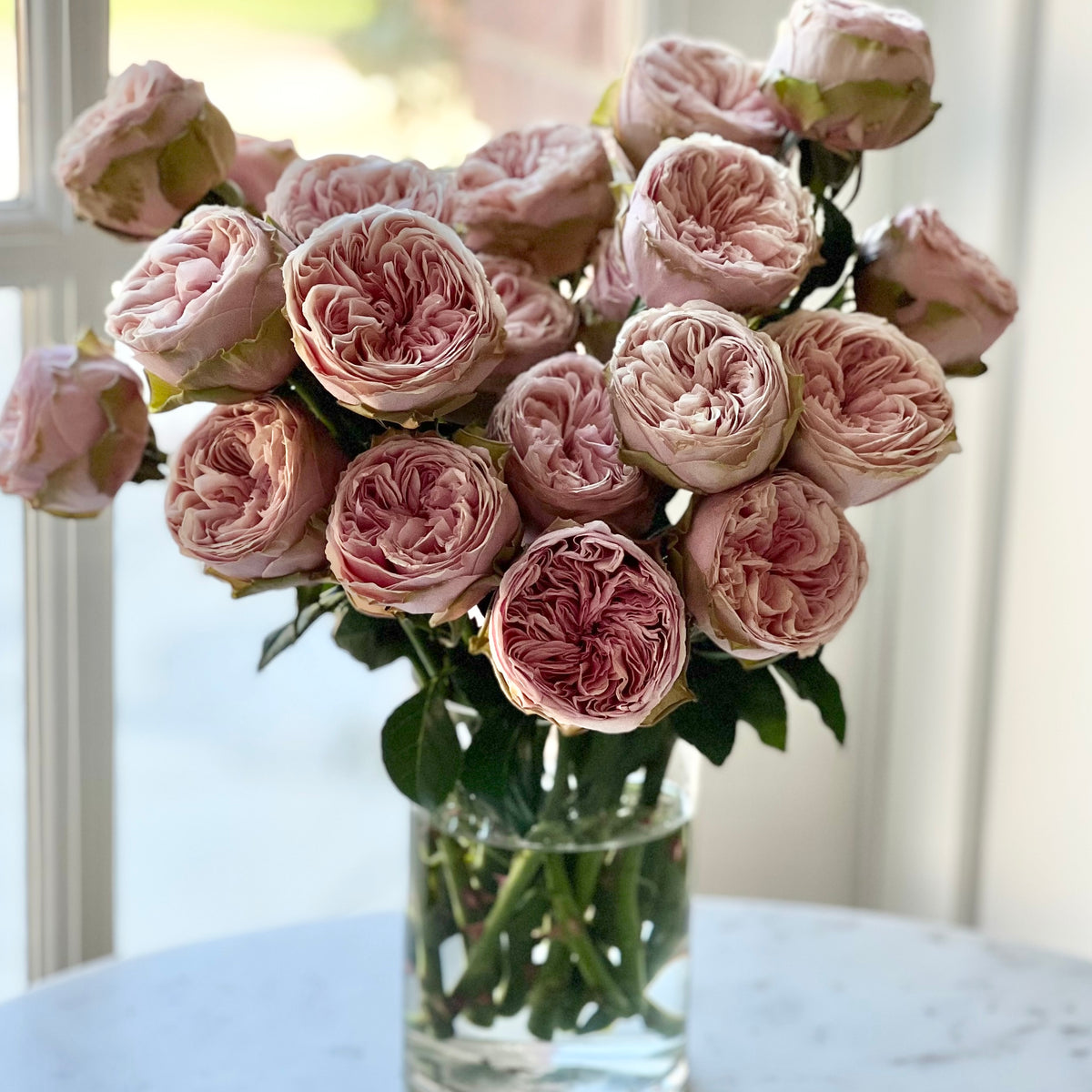 Senlitsu Rose Bush