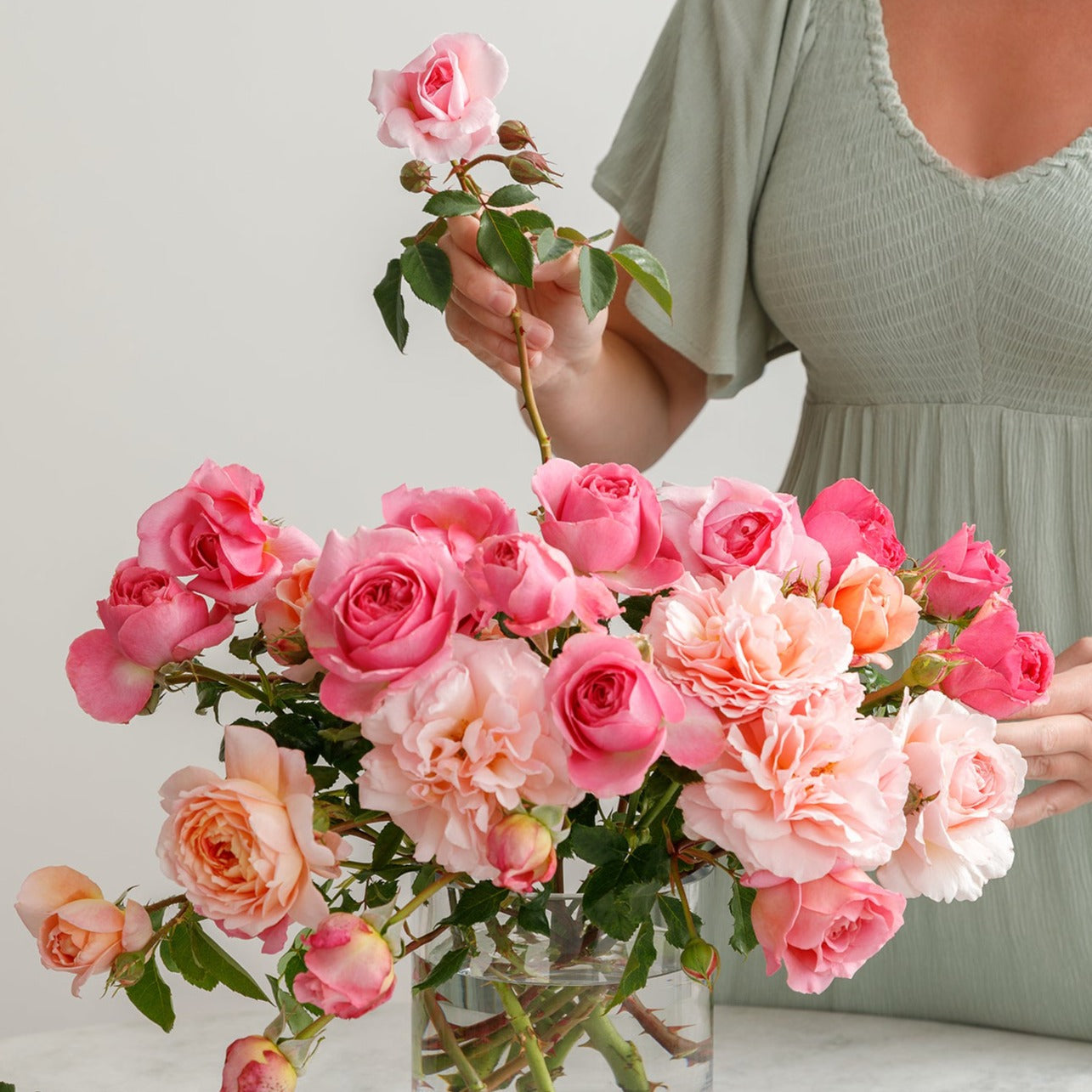 GARDEN ROSES: The Complete Guide to Growing & Arranging Spectacular Blooms *Signed Copy*