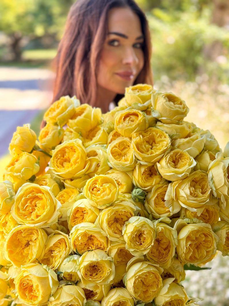 Cream Roses & Elegant Garden Blooms – Grace Rose Farm