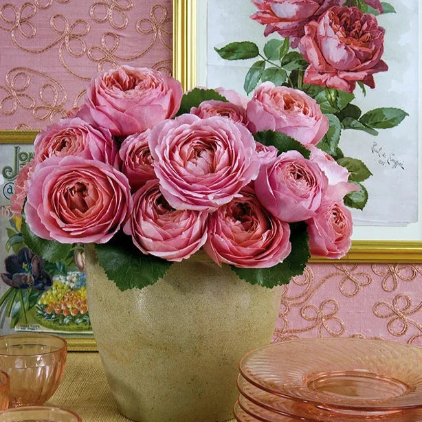 Romantic Antike Bouquet | Pink Garden Rose Bouquet | Grace Rose Farm