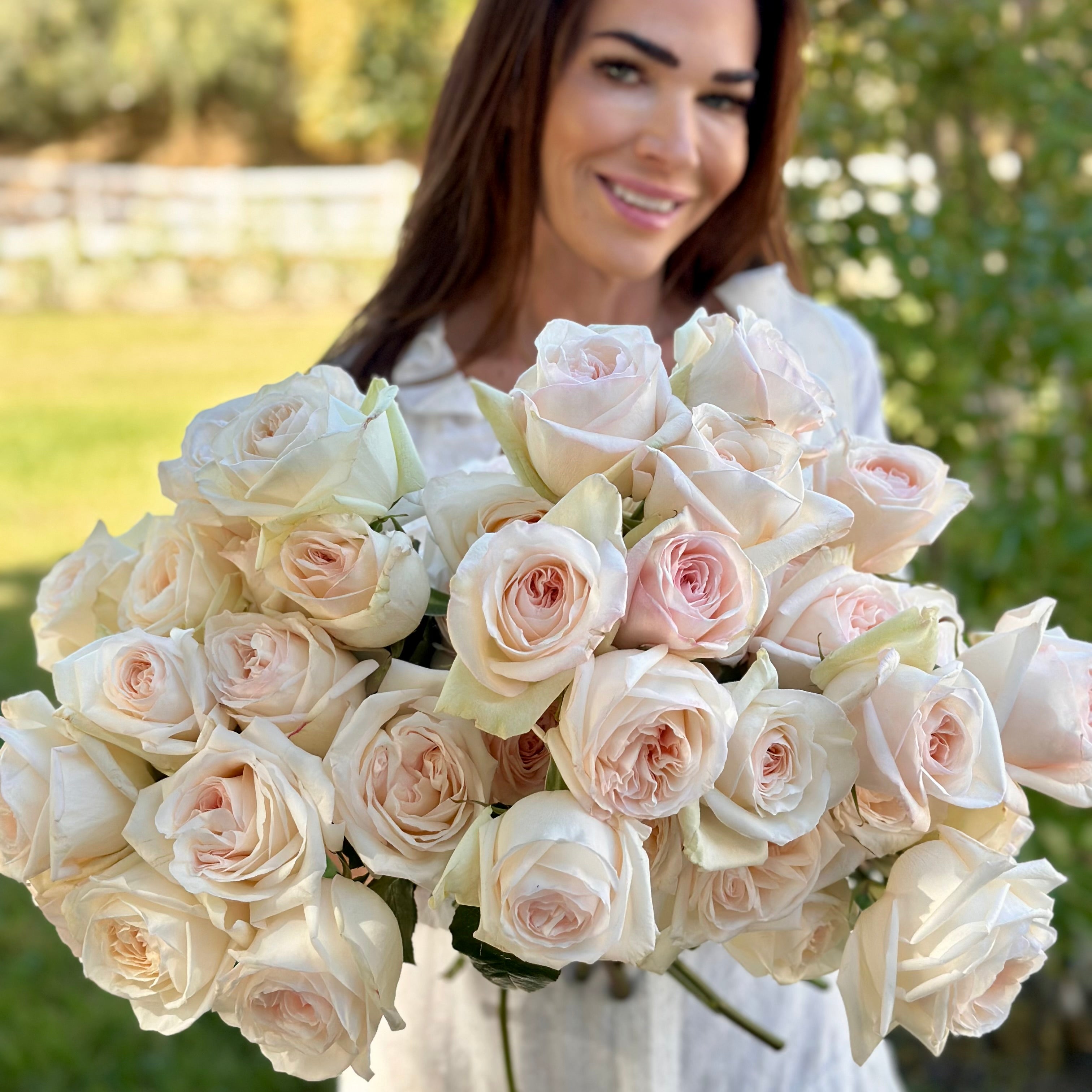 Zone 9 Rose Bushes – Tagged