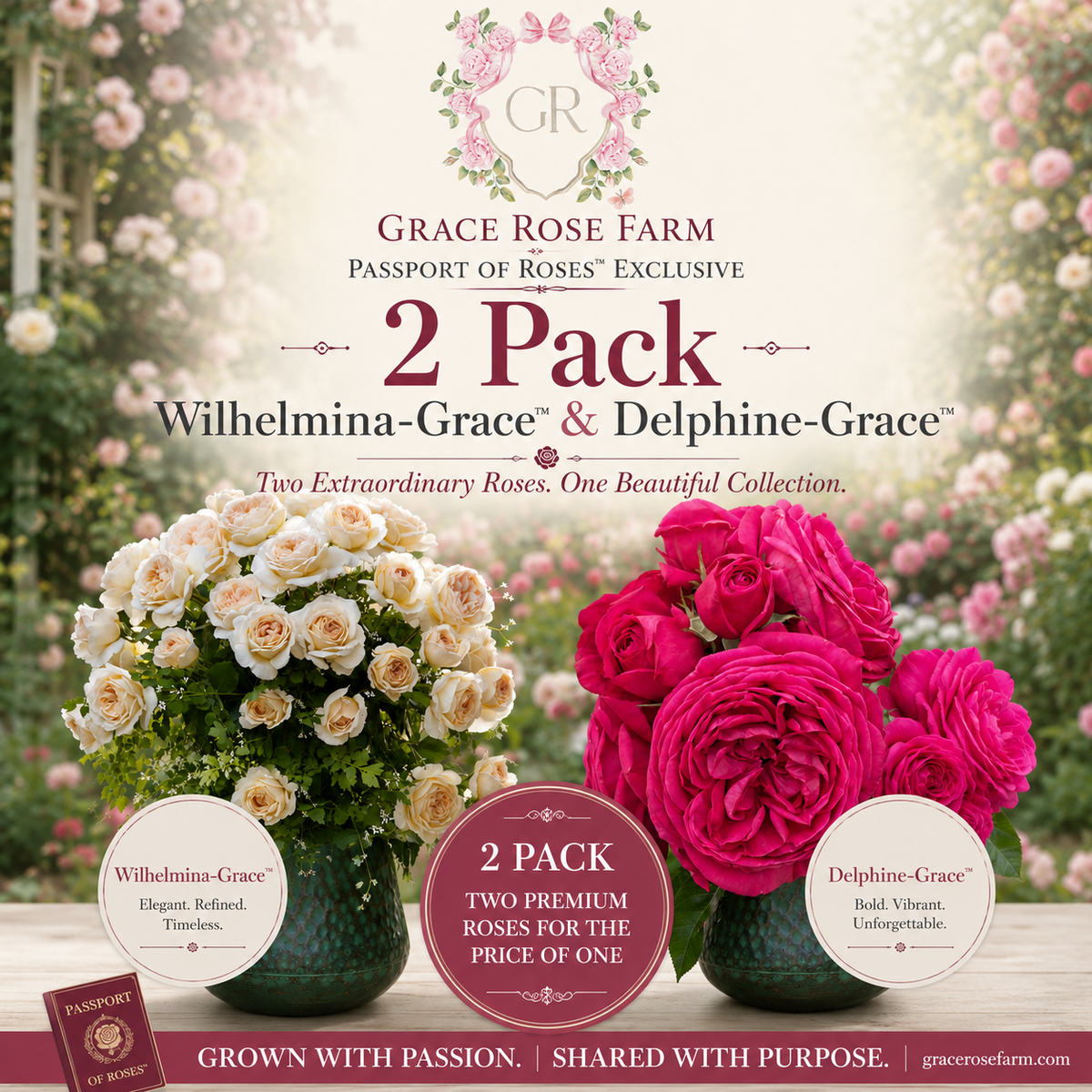 FLASH SALE - Passport of Roses™ 2 Pack Exclusive - Wilhelmina-Grace™ & Delphine-Grace™
