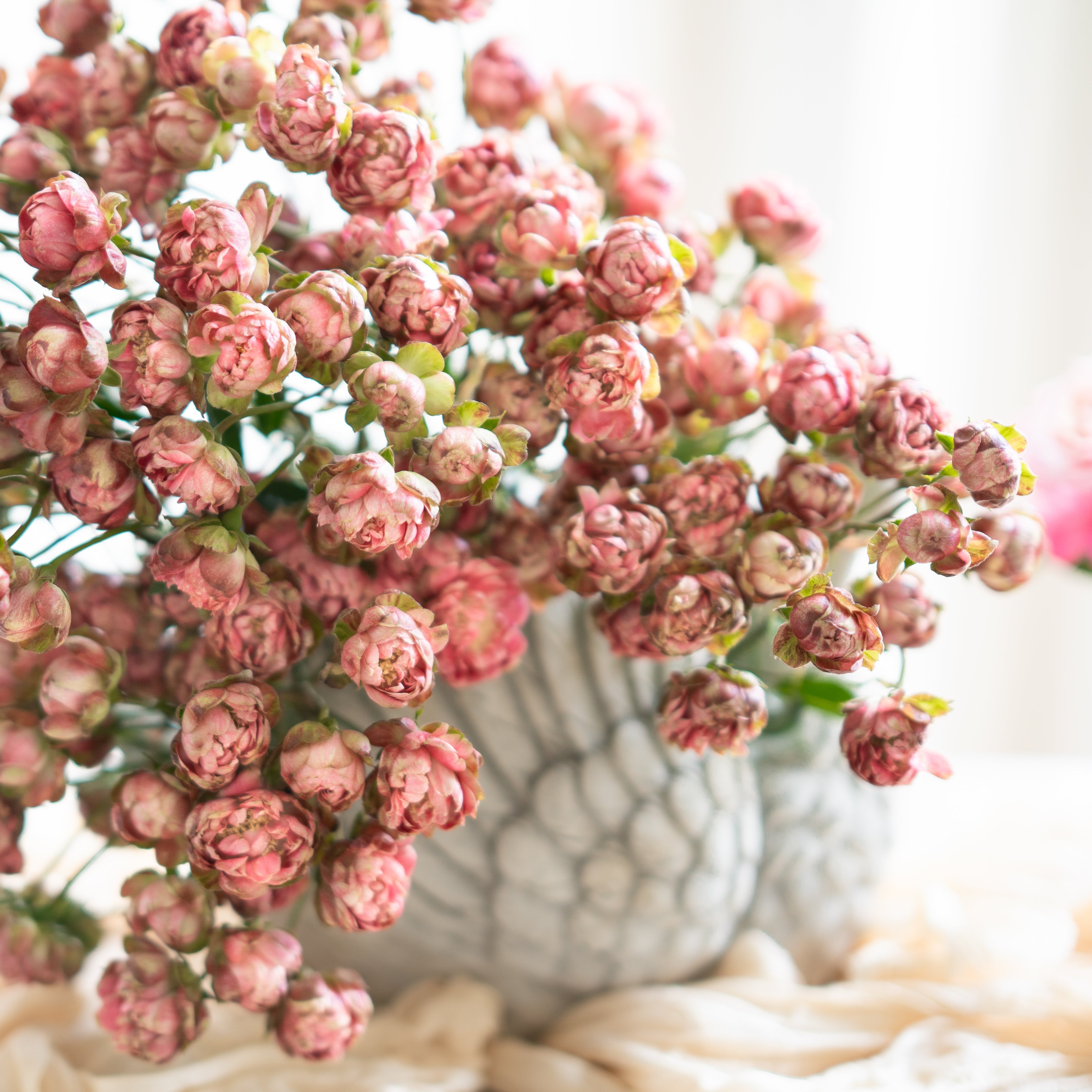 Princess Pinku Spray Rose Bouquet | Pink Spray Roses | Grace Rose Farm