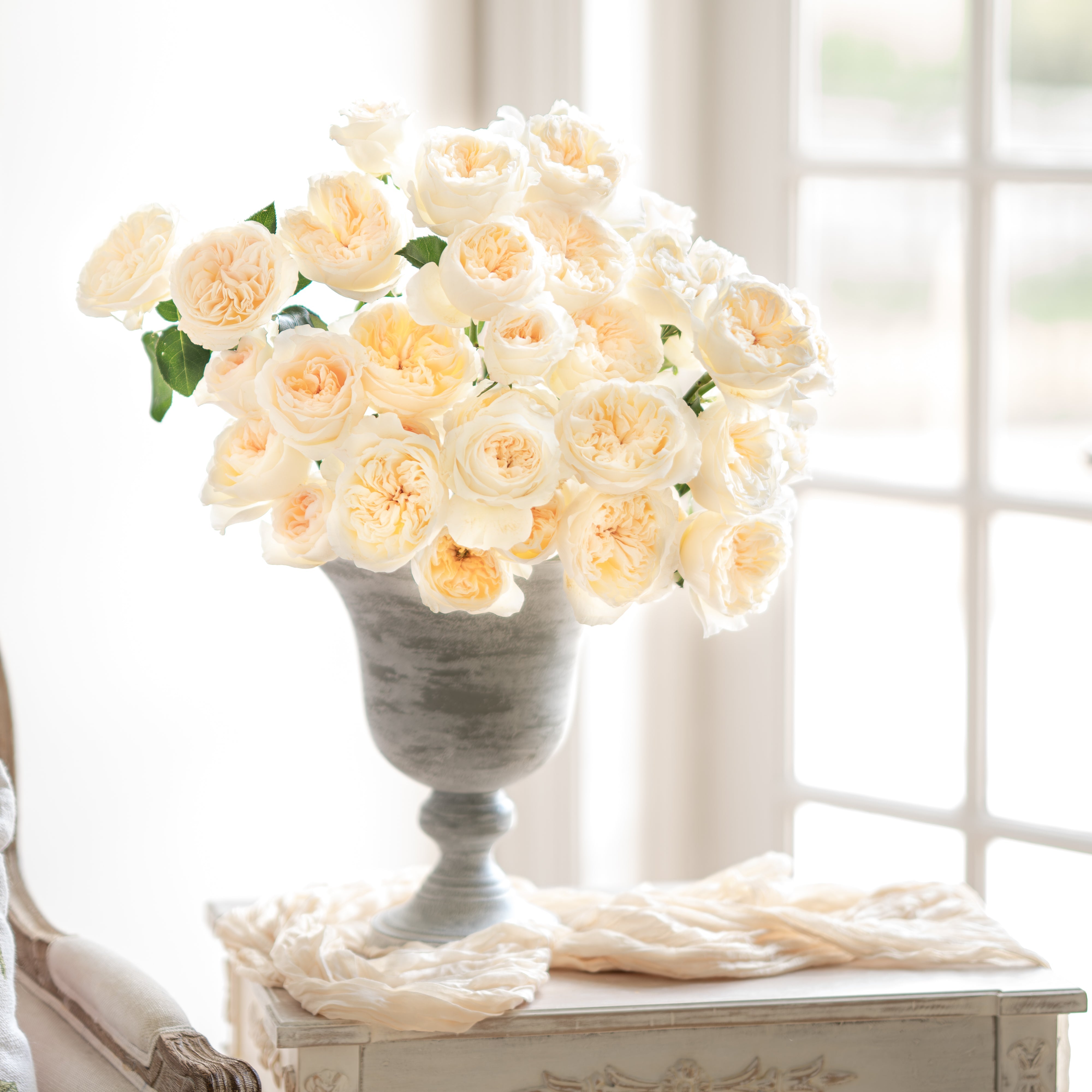 Aurora Gardens Bouquet | Cream White Rose Bouquet | Grace Rose Farm