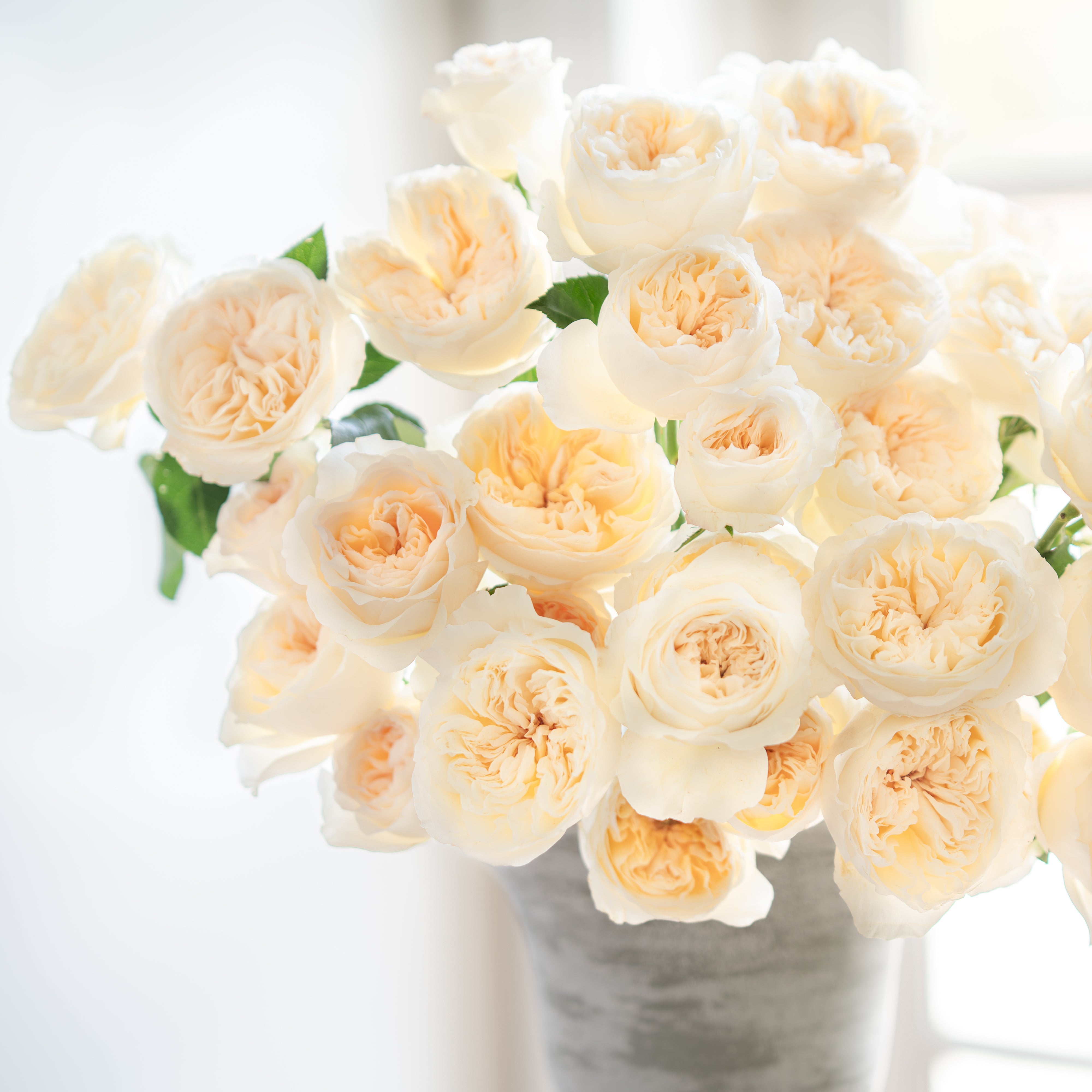 Aurora Gardens!® Bouquet