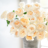 Aurora Gardens!® Bouquet