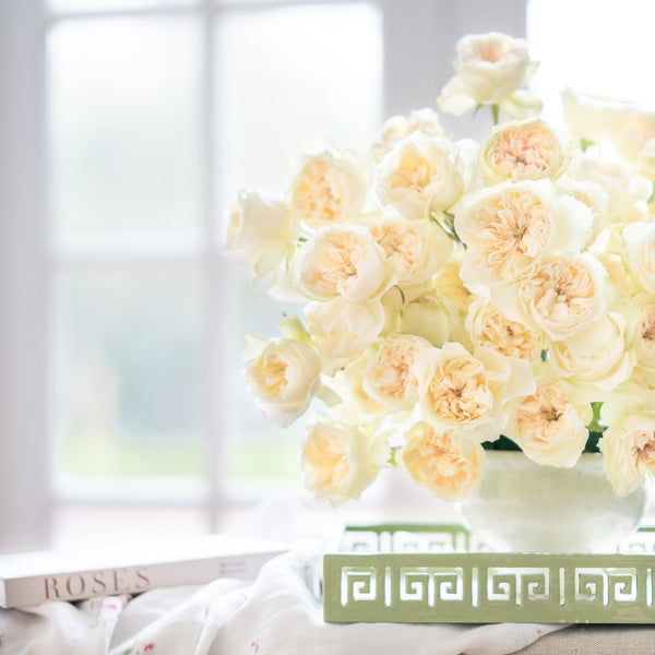 Cream Roses & Elegant Garden Blooms – Grace Rose Farm