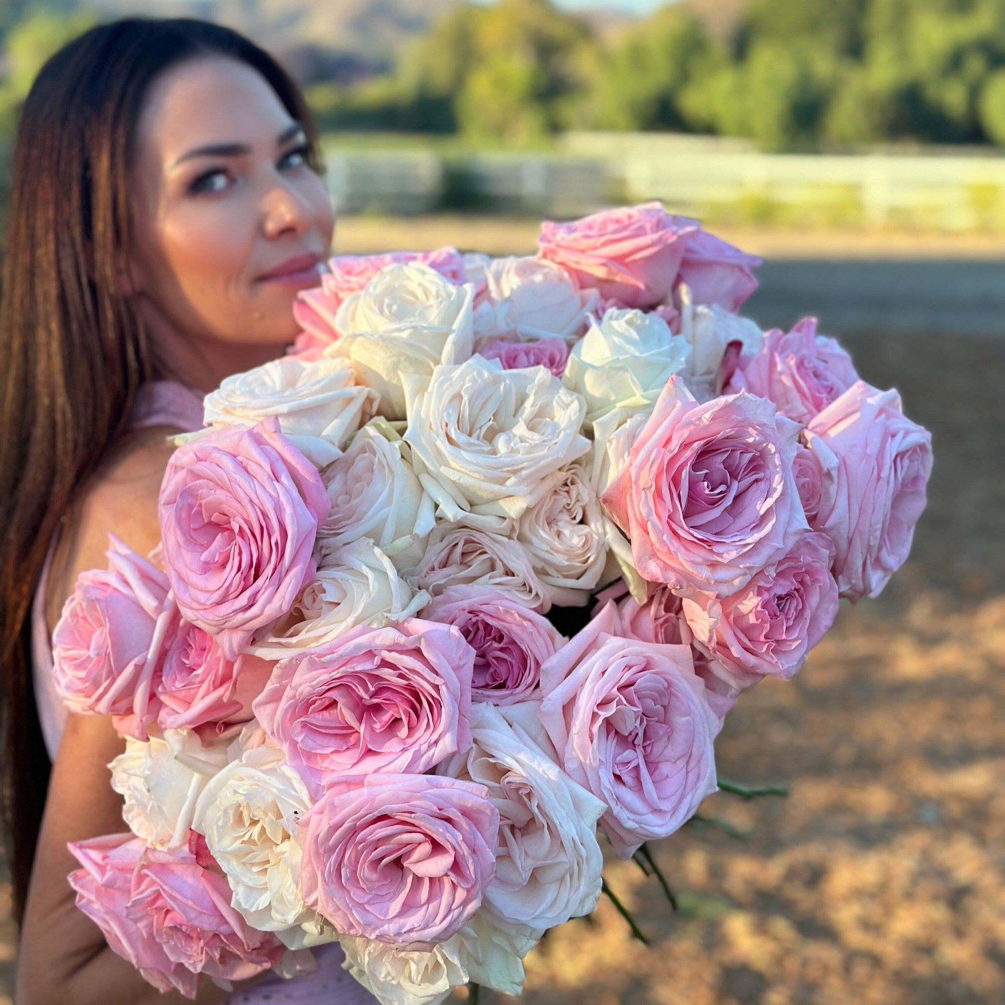 Founder’s Favorites Rose Bundle | Curated Garden Roses | Grace Rose Farm