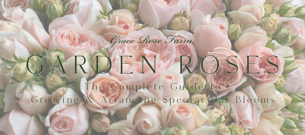 Grace Rose Farm Garden Roses