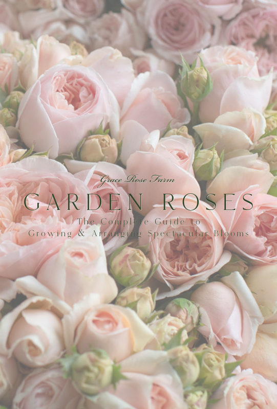 Grace Rose Farm Garden Roses