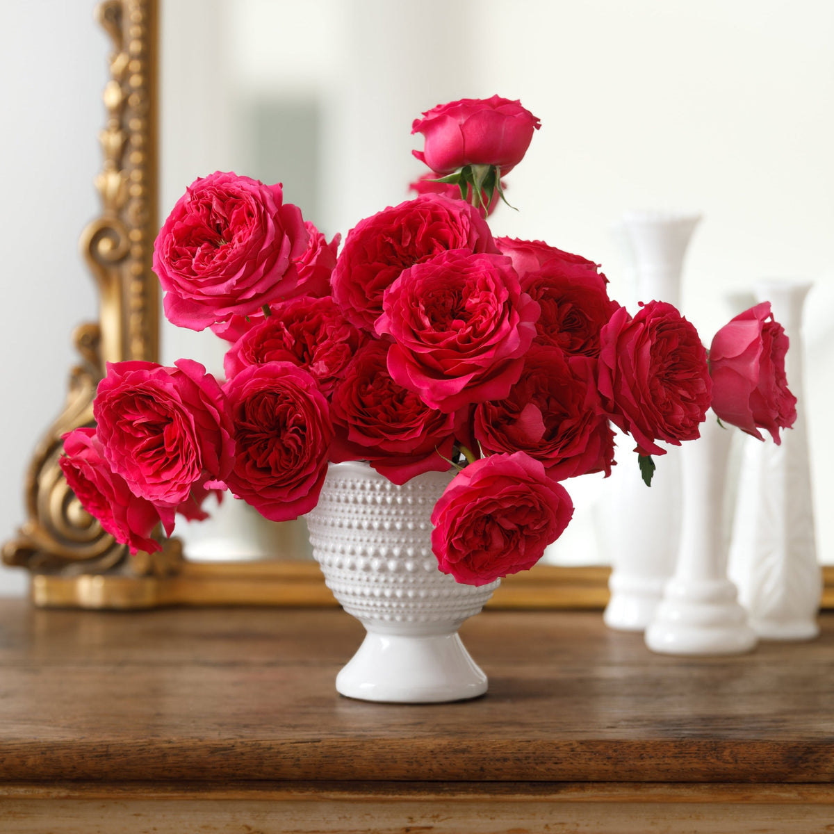 Mauve Roses | Elegant Lavender-Pink Hues | Grace Rose Farm