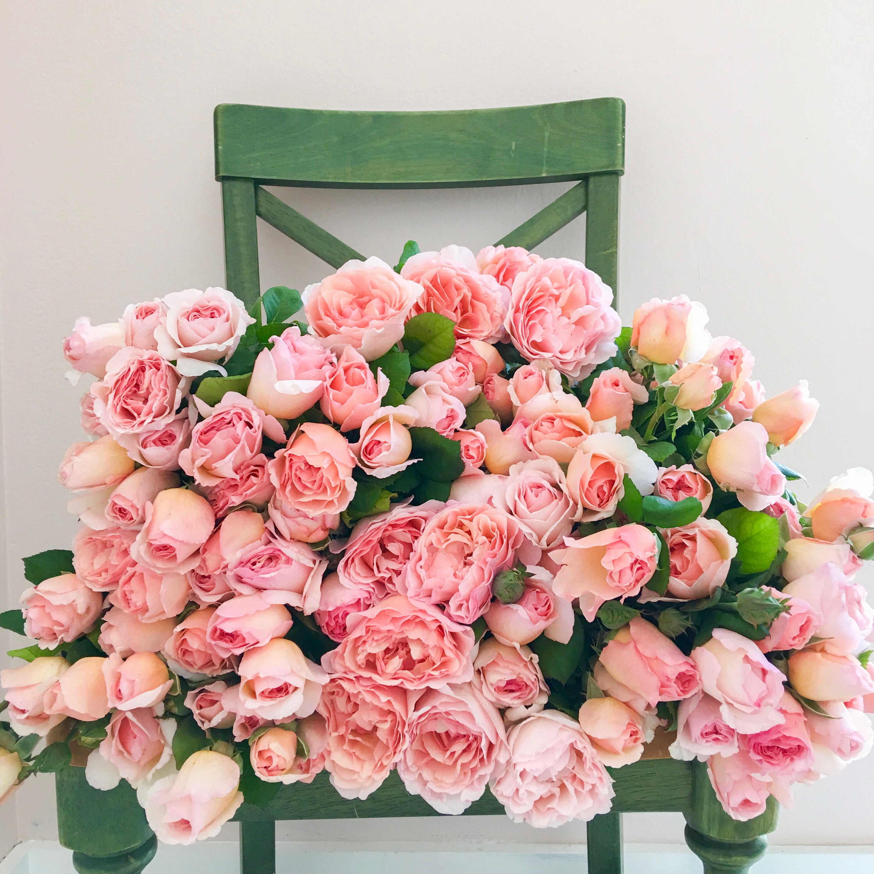 Pride & Petals® Garden Color Stories™ Bundle of 3 Bare Root Roses