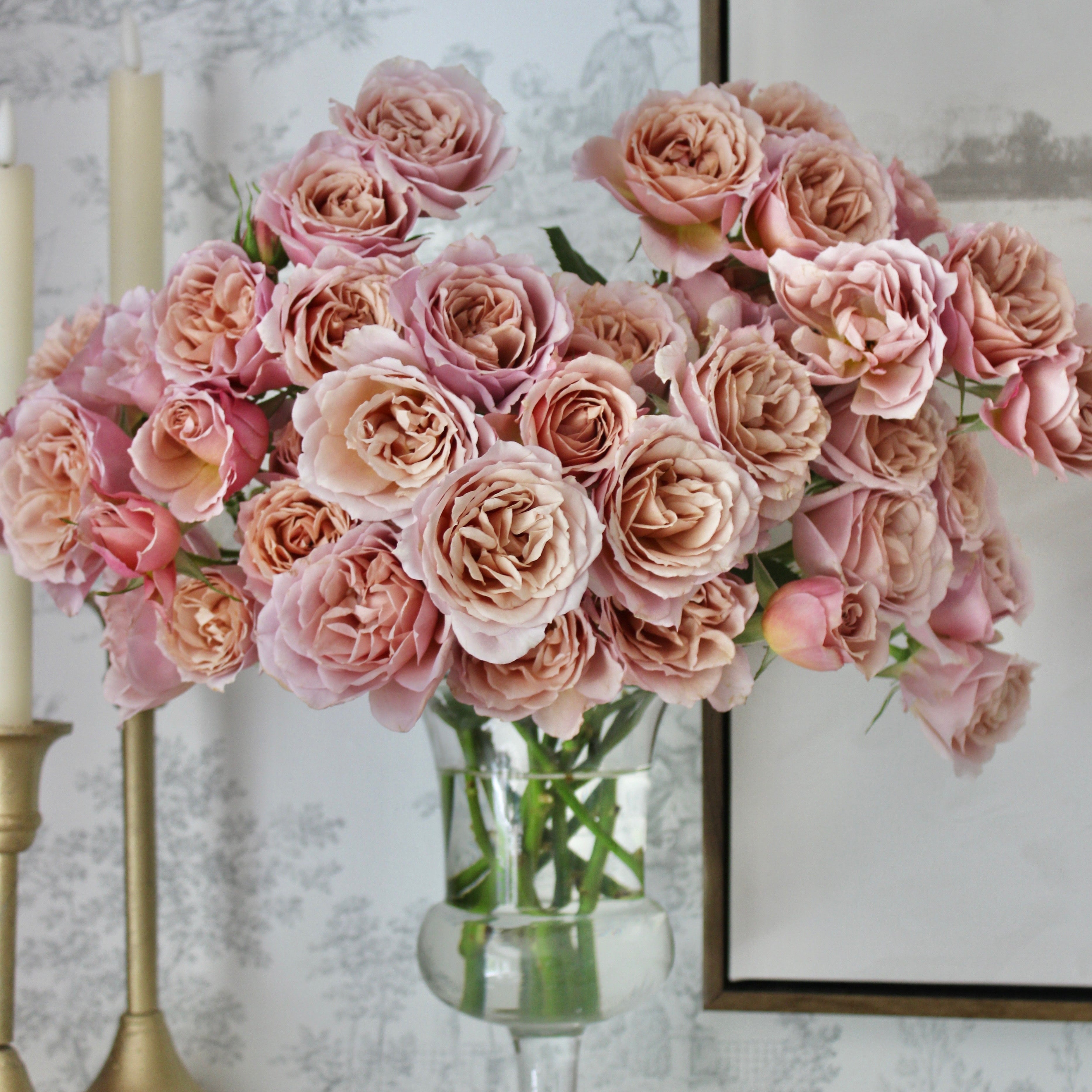 Loli Spray Rose | Pink Spray Rose Bouquet | Grace Rose Farm