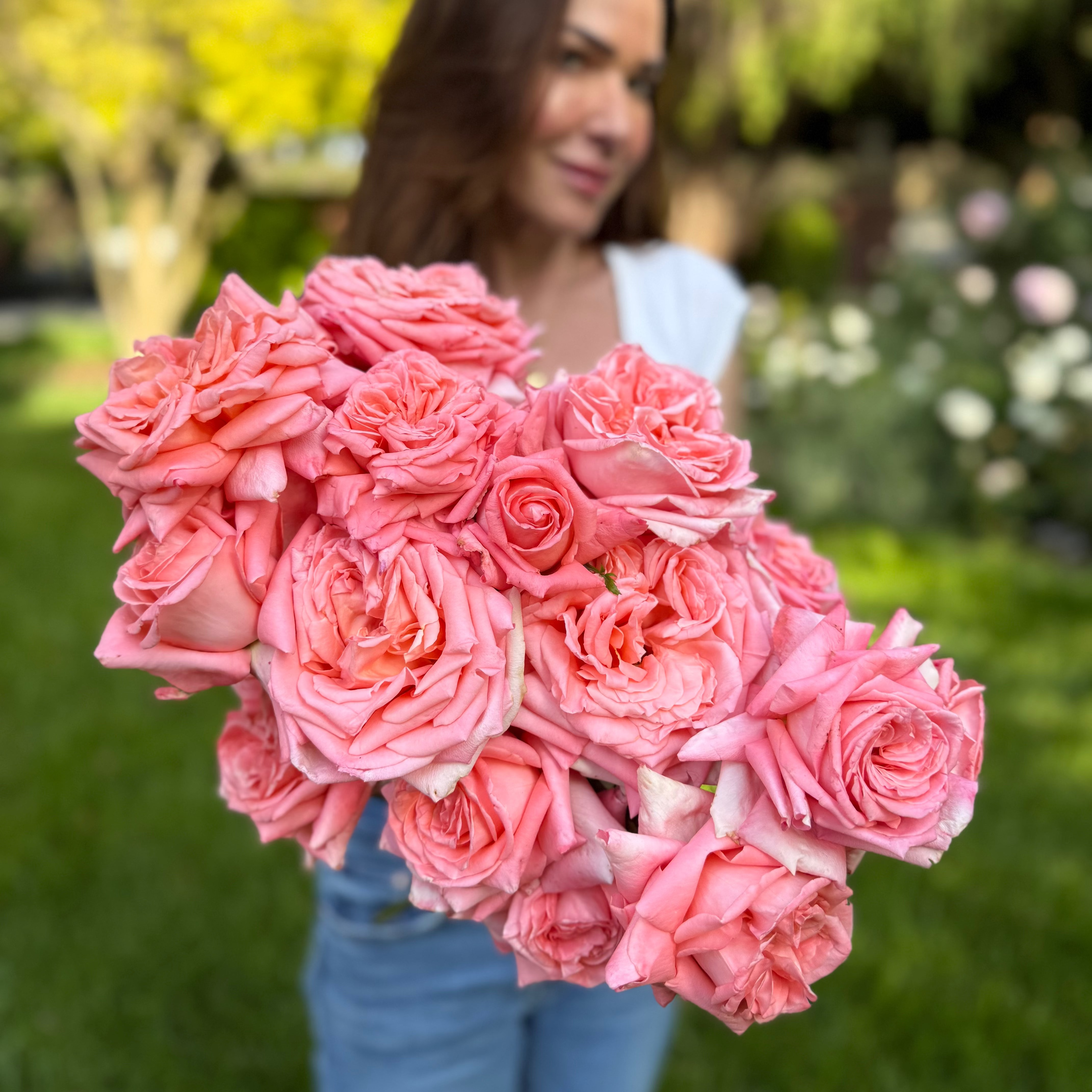 Heavenly Scented™ Potted Rose Bush