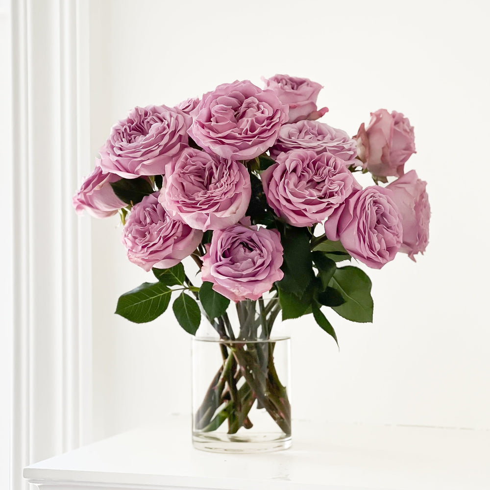 Lavender Roses | Natures Most Elegant Shades | Grace Rose Farm