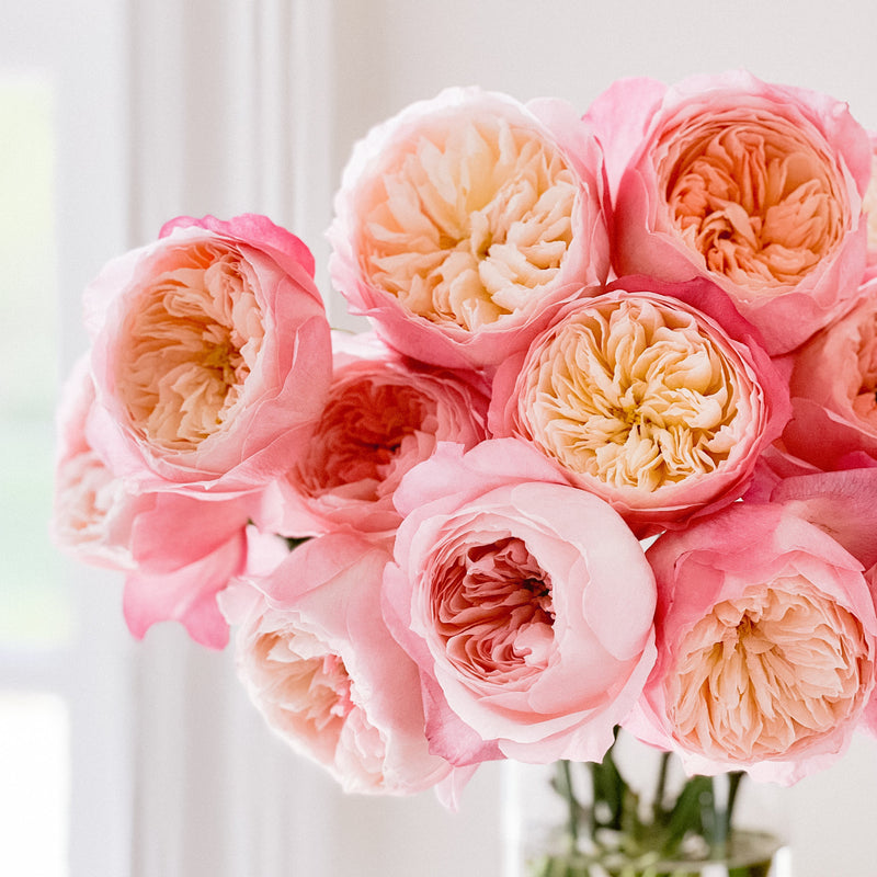 David Austin® Constance™ Bouquet