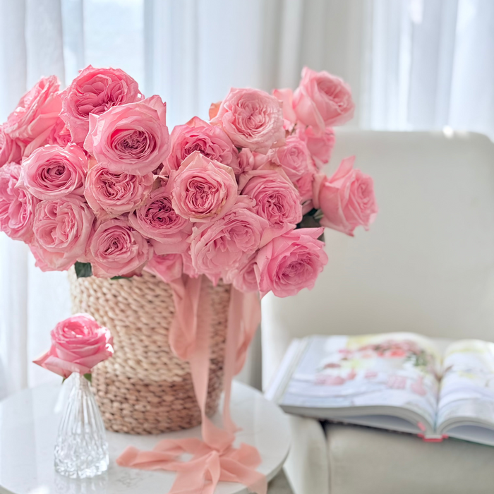 Blush Roses | Vibrant & Feminine Pink Shades | Grace Rose Farm